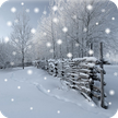 Winter Snow Live Wallpaper Pro