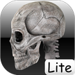 Human bones Lite / Human bones lite
