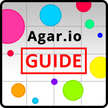 Agar.io Guidance and tips