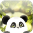 Panda Live Wallpaper for Free / Panda Chub LWP