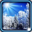 Winter Sun HD Live Wallpaper