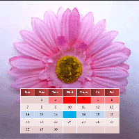 My menstrual calendar for the year