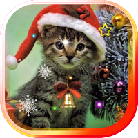 New year kitten live wallpaper