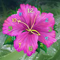 Flower Clock Live Wallpaper / Flower Clock Live Wallpaper