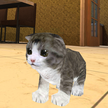 Kitten Cat Simulator 3D
