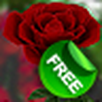 Rose 3D Live Wallpaper / 3D Rose Live Wallpaper Free