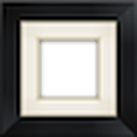 Aviary Frames: Original