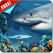 Shark Reef Live Wallpaper Free