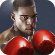 The King of Boxing - Punch Boxing 3D