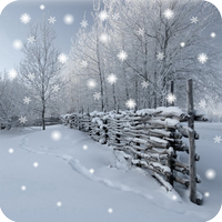 Winter Snow Live Wallpaper Pro