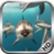 Dolphins. Live Video Wallpaper / Dolphins Video Live Wallpaper